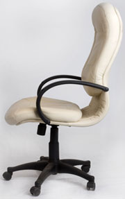 texas spine center provides information about preventing back pain neck pain ergonomic chair, back pain Austin, neck pain Austin, spine surgery Austin, spine care Austin, spine surgeon Austin, Spine surgeon second opinion Austin Texas, Scoliosis surgery Austin Texas, Texas Spine and Scoliosis, Minimally invasive Scoliosis surgery Austin Texas, Scoliosis second opinion Austin Texas, Flatback syndrome Austin Texas, Second opinion for spine surgery Austin Texas, Laser spine surgery Austin Texas, Minimally invasive spine surgery Austin Texas, Home remedies for back pain Austin Texas, Herniated disc Austin Texas, Non-surgical treatment options for back pain Austin Texas, Artificial disc replacement neck Austin Texas, Artificial disc replacement back Austin Texas, Clinical Outcomes for spine Austin Texas, Case rates for spine surgery Austin Texas